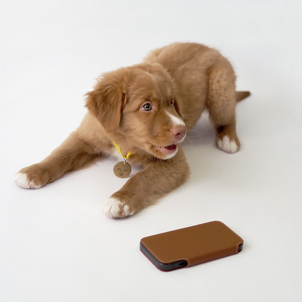 iPhone 15 Pro Max Gold Calfskin Designer Wallet Case β MagSafe