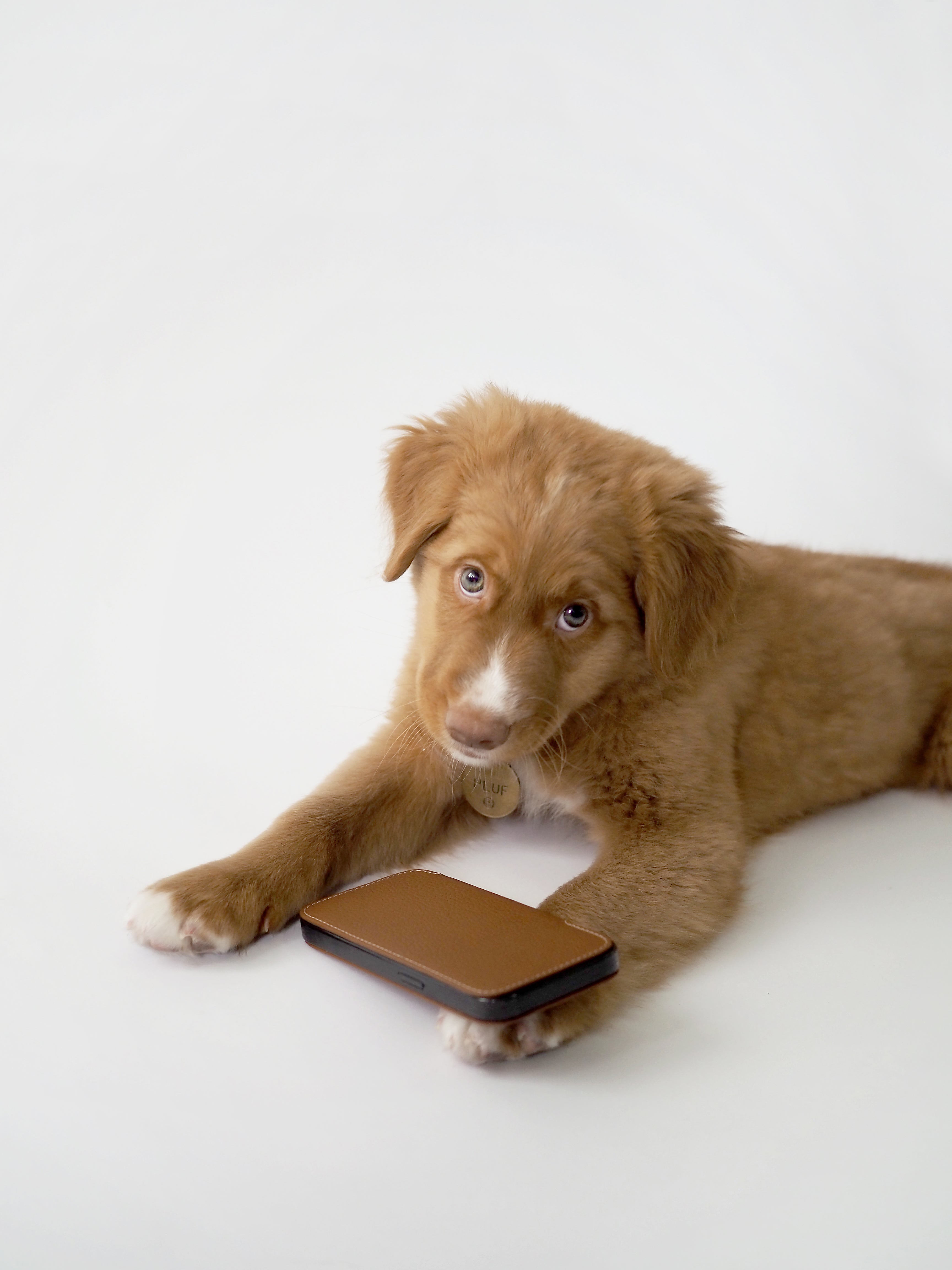 Premium Leather Case iPhone 13 Pro Max Caramel | Marcel Robert - 1